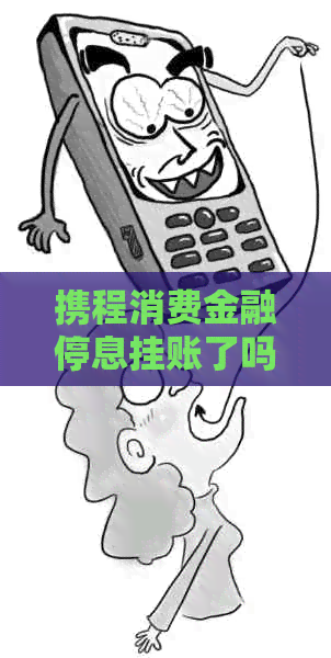 携程消费金融停息挂账了吗