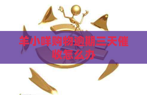 羊小咩购物逾期三天怎么办