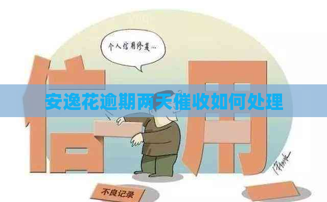 安逸花逾期两天如何处理