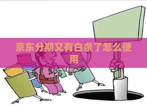 京东分期又有白条了怎么使用