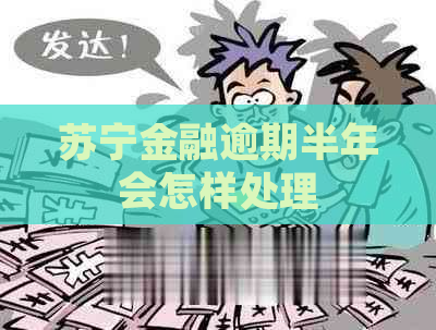 苏宁金融逾期半年会怎样处理
