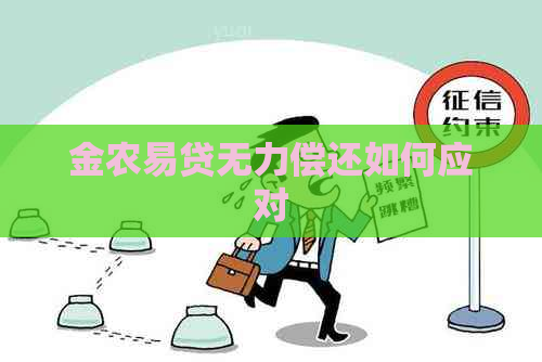 金农易贷无力偿还如何应对