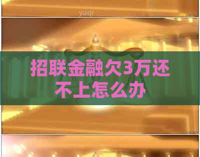 招联金融欠3万还不上怎么办