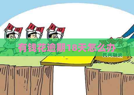 有钱花逾期18天怎么办