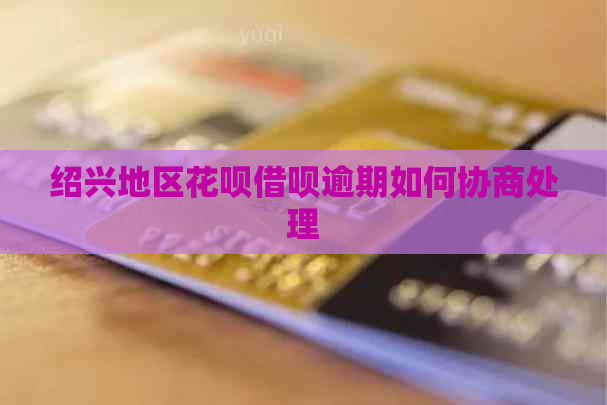 绍兴地区白条信用卡逾期如何协商处理