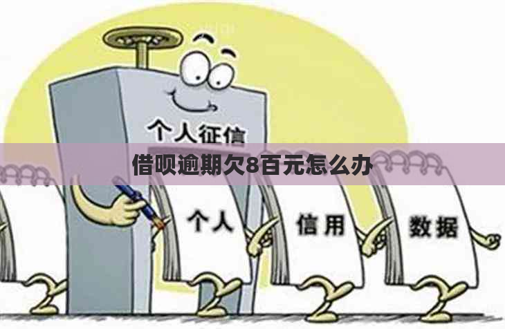 信用卡逾期欠8百元怎么办