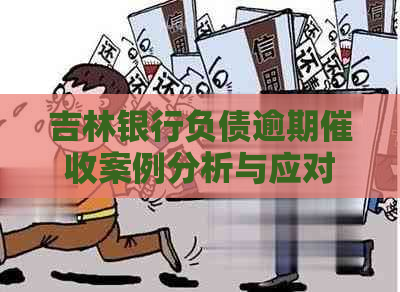 吉林银行负债逾期案例分析与应对策略