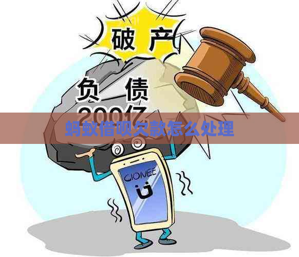 蚂蚁信用卡欠款怎么处理