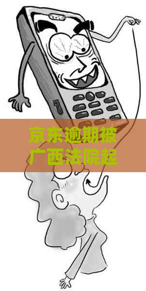 京东逾期被广西法院起诉了怎么办
