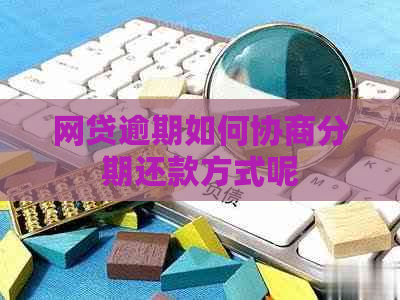 网贷逾期如何协商分期还款方式呢