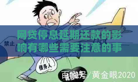 网贷停息延期还款的影响有哪些需要注意的事项