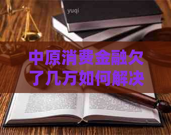 中原消费金融欠了几万如何解决