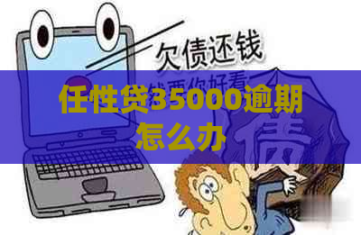 任性贷35000逾期怎么办