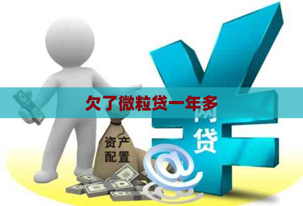 欠了微粒贷一年多