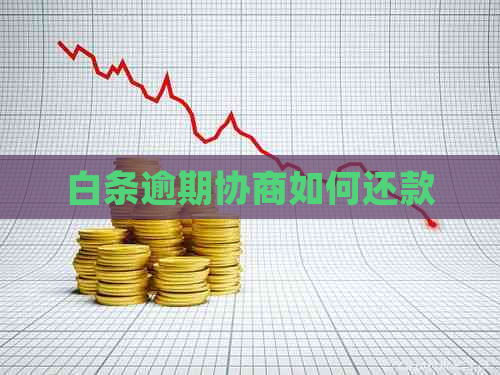 白条逾期协商如何还款