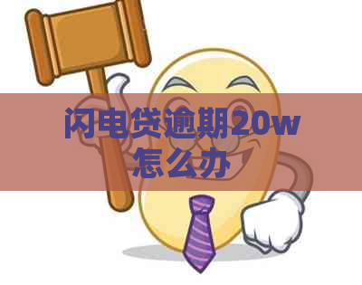 闪电贷逾期20w怎么办