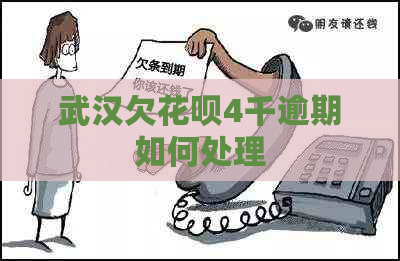 武汉欠白条4千逾期如何处理