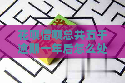 白条信用卡总共五千逾期一年后怎么处理