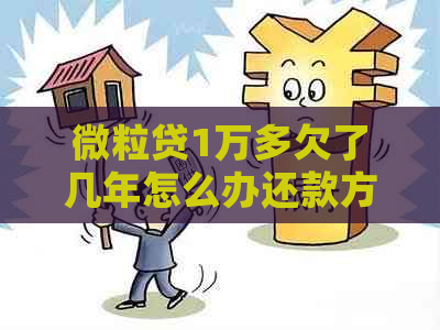 微粒贷1万多欠了几年怎么办还款方法有哪些