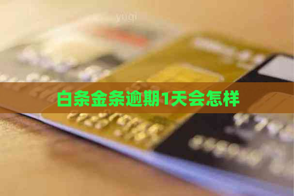 白条金条逾期1天会怎样
