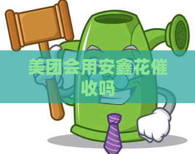 美团会用安鑫花吗