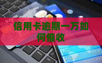 信用卡逾期一万如何