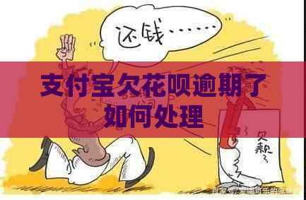 信用卡欠白条逾期了如何处理