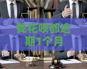 我白条都逾期1个月
