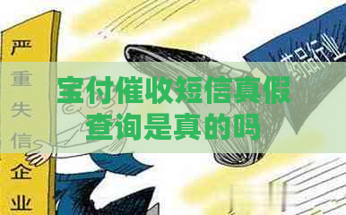 宝付短信真假查询是真的吗