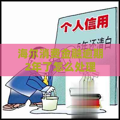 海尔消费金融逾期2年了怎么处理