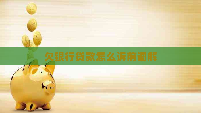 欠银行贷款怎么诉前调解