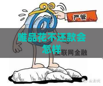唯品花不还款会怎样