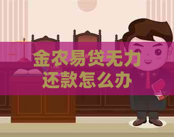 金农易贷无力还款怎么办