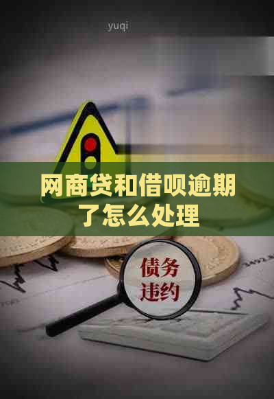 白条贷和信用卡逾期了怎么处理