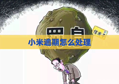 小米逾期怎么处理