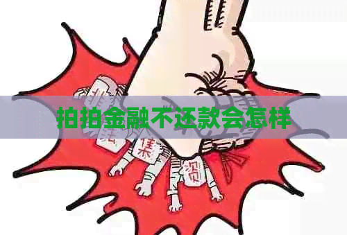拍拍金融不还款会怎样
