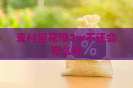 信用卡白条2w不还会怎么样