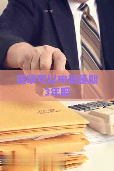 白条可以申请延期3年吗