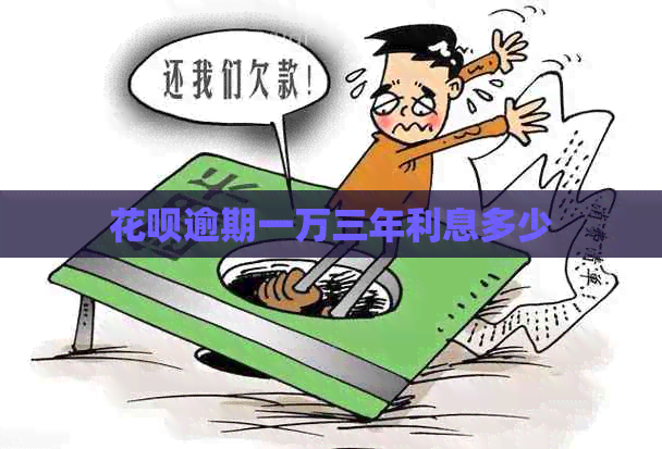 白条逾期一万三年利息多少