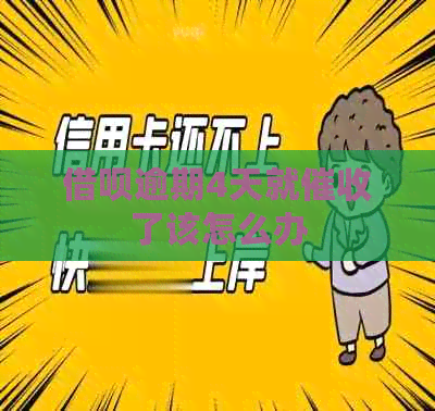 信用卡逾期4天就了该怎么办
