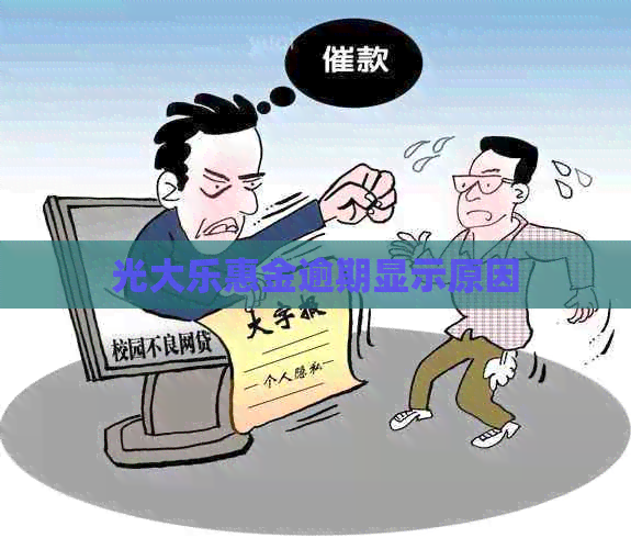 光大乐惠金逾期显示原因