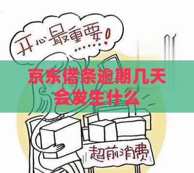 京东借条逾期几天会发生什么