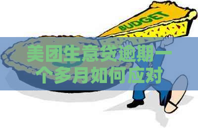 美团生意贷逾期一个多月如何应对