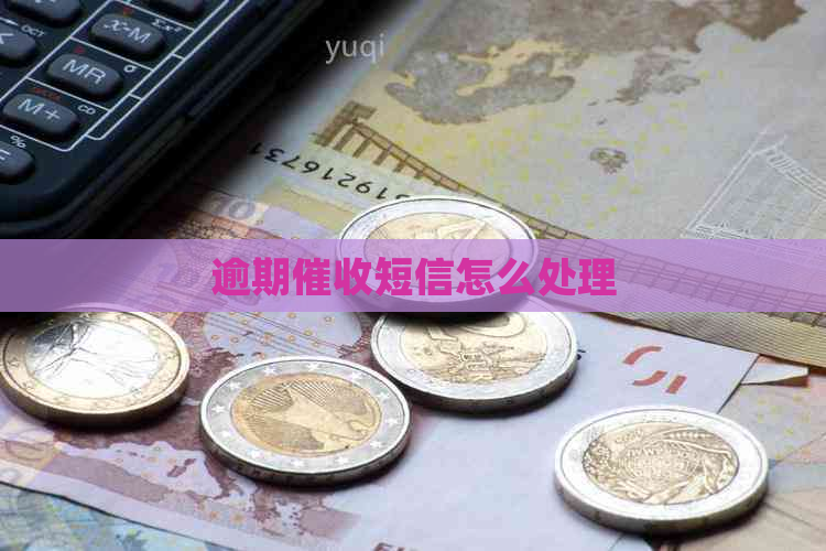 逾期短信怎么处理