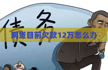 网贷目前欠款12万怎么办