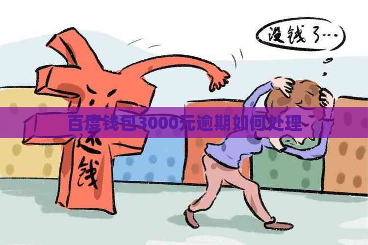 百度钱包3000元逾期如何处理
