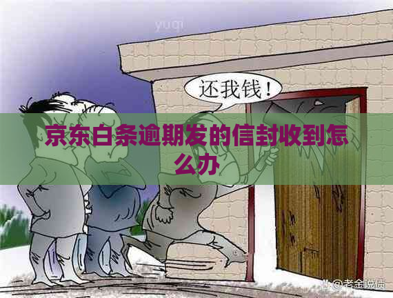 京东白条逾期发的信封收到怎么办