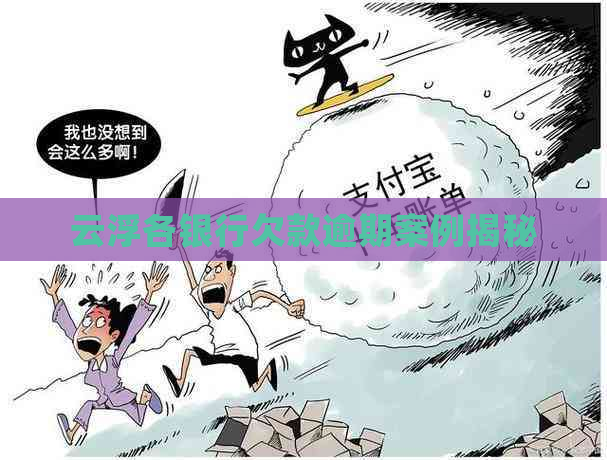 云浮各银行欠款逾期案例揭秘