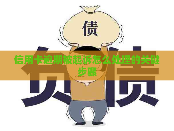 信用卡逾期被起诉怎么处理的关键步骤