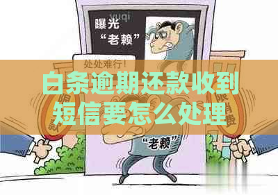 白条逾期还款收到短信要怎么处理